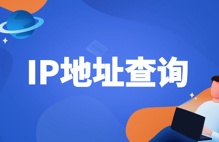 IP.bizsoso.com：一站式IP/域名查询工具 - 精准定位与网络安全分析平台