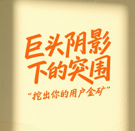 流量暗战突围记：在巨头阴影下挖出你的用户金矿