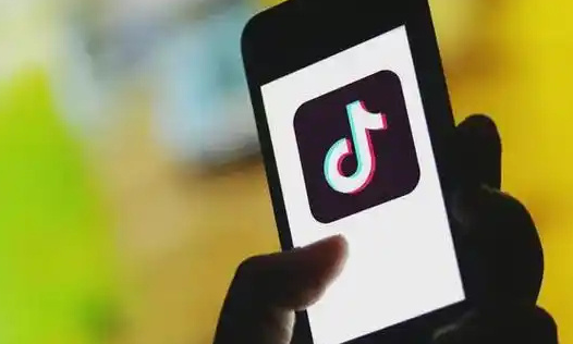 草根神话的周期律：数字舞台上的情绪、算法与共谋